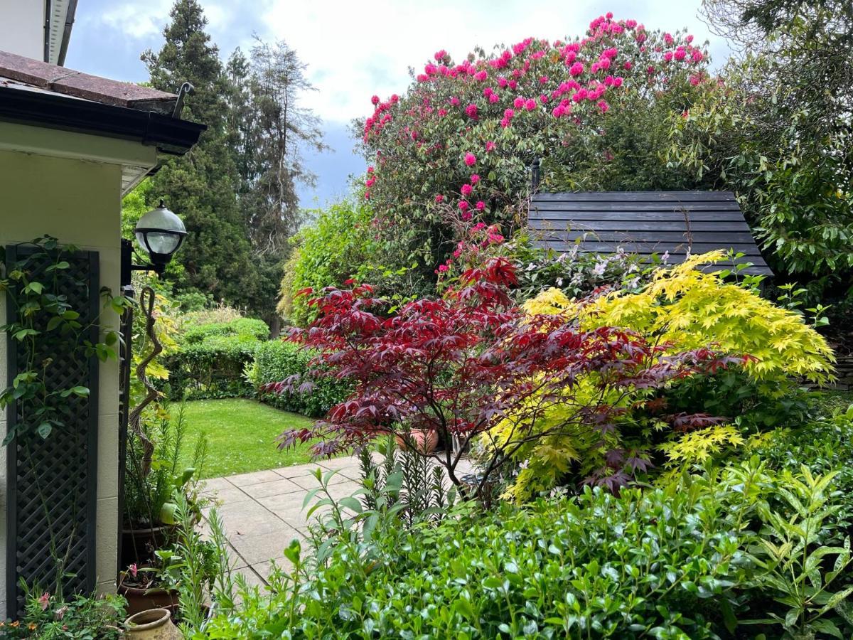 Hollyhocks Holiday Home- 2 Bedroomed Ground Floor Apartment Sleeps 5 Ivybridge Exterior photo